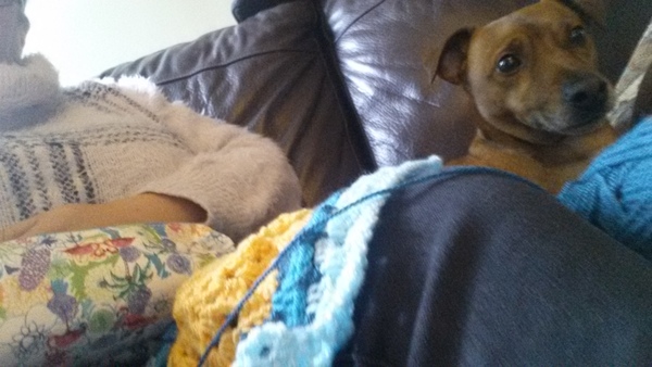 Zombie and Woolly Hugs. Please join us, newcomers very welcome. Come and find out about Candy's Hugs.