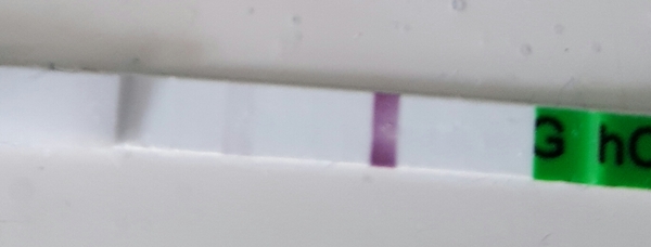 Mid-Late November due dates