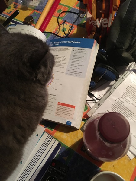 What's your dcat doing today?