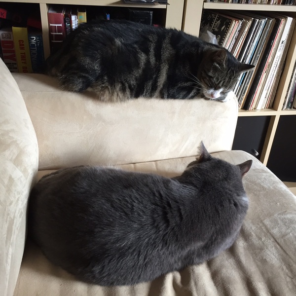 May 2017 #9 3rd trimester!