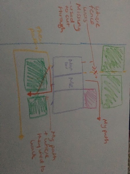 To ask my neighbour not to use my garden as a flipping public right of way?!