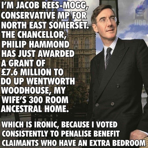 To have developed a crush on Jacob Rees Mogg?