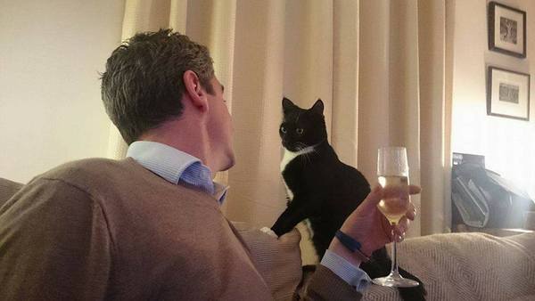 May 2017 #9 3rd trimester!