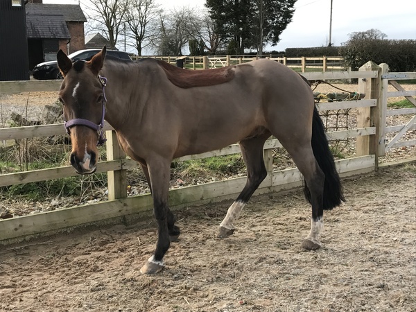 First BE ODE next month, any advice welcome!