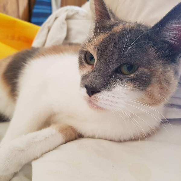 Gorgeous eyes.