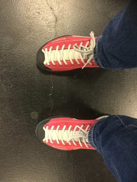 Most comfortable trainers/shoes
