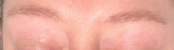 Eyebrow help (photo incl)