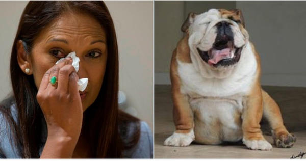 The Brexit Arms A50 Celebration Thread