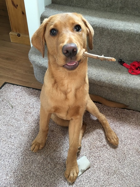 £18 for a fucking stick?