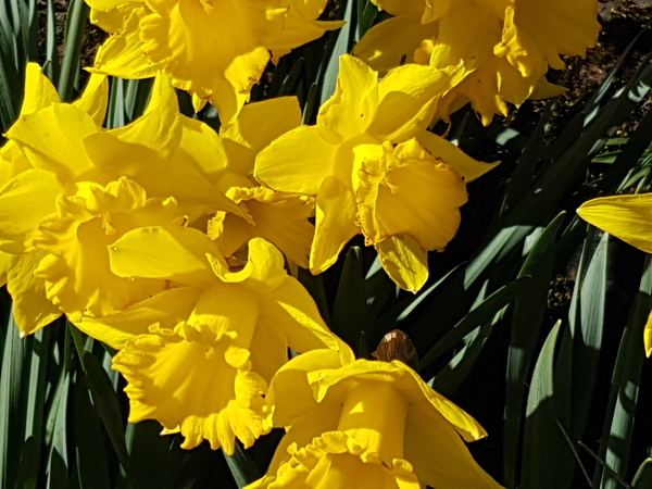 Brave Babes are boinging into Spring..Join us here!