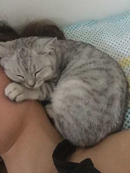 Cruel to let kitten sleep on bed only sometimes?