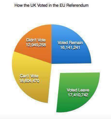 why should house of lords be able to determine our future?