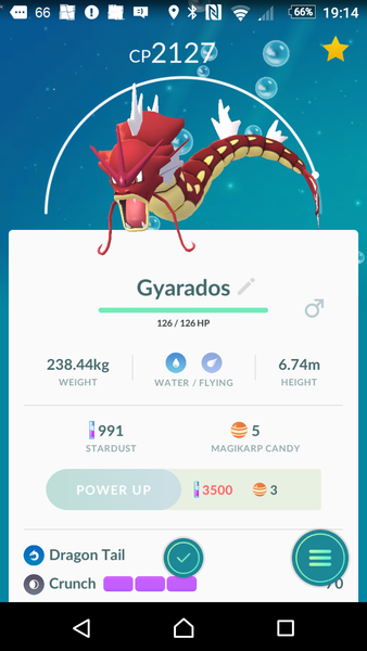 Pokémon Go #8: Don't mess with my Hoothoot