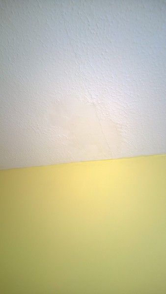 To ignore a leaking ceiling and hope it magically mends itself?