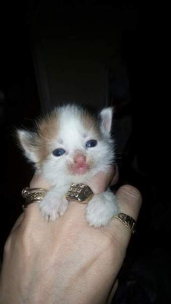 This is Murph...