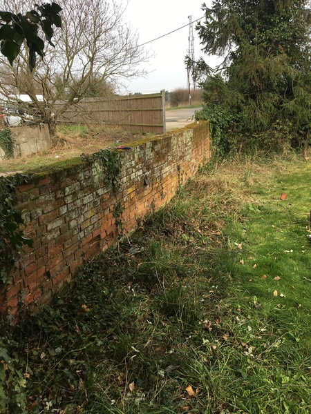 Help me clear this border - novice gardener! (Pic)