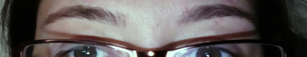 Eyebrow help (photo incl)
