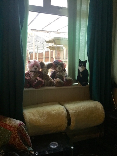 What's your dcat doing today?