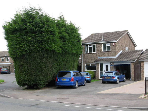 To ask my neighbour not to use my garden as a flipping public right of way?!