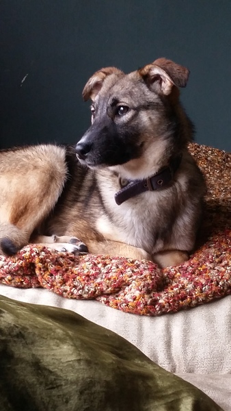 She's ours! What shall we call her?