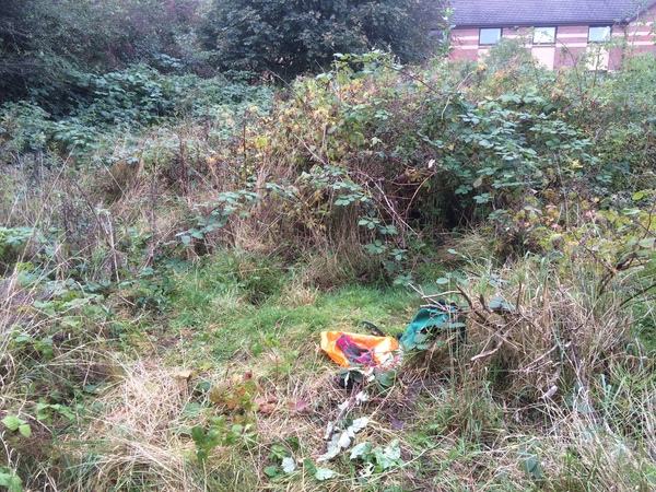 Allotment/Veg Patch -Thread  8 - Its spring - time to get busy!
