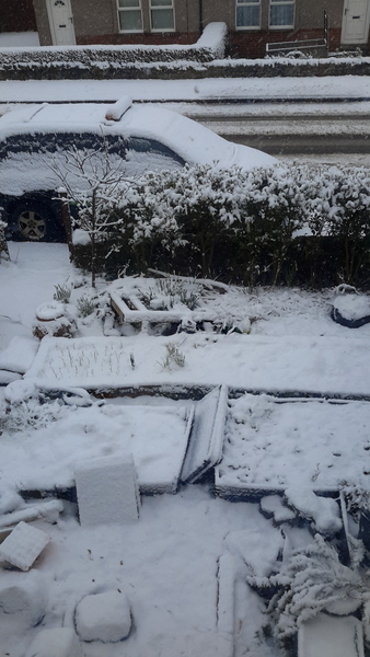 Frugaleers Marching on!