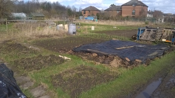 Allotment/Veg Patch - Thread 7 - The Harvesters Arms