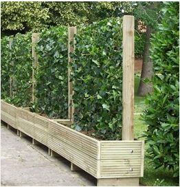 To ask my neighbour not to use my garden as a flipping public right of way?!