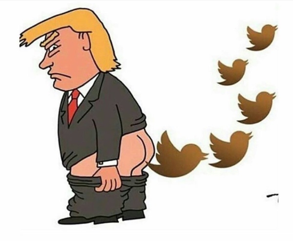 I never met someone from NM to discuss MN. Honest. Trump thread cont