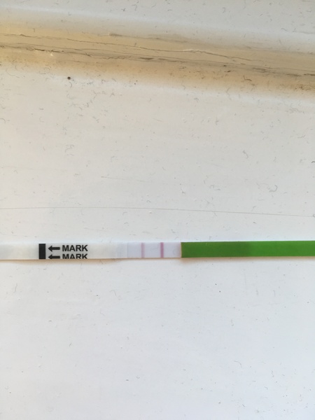Opinions please (yes yes I am a nutter)