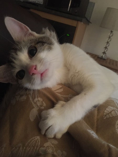 Gorgeous eyes.