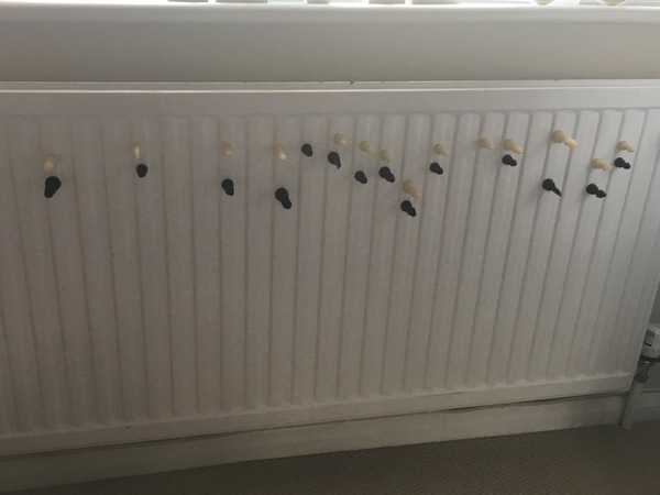 Anyone's little ones LOVE making dens/arranging furniture and objects?