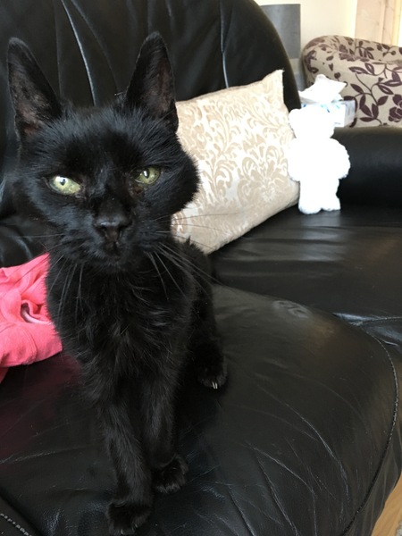 My beautiful old lady is gone