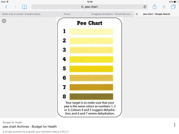 Water only at school- thoughts please