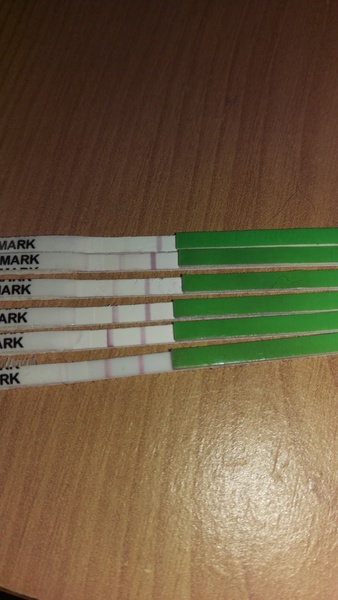 Positive OPK?
