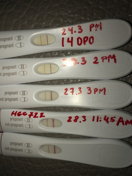 FRER line getting lighter at 16DPO!? Panicking...