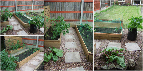 Allotment/Veg Patch -Thread  8 - Its spring - time to get busy!