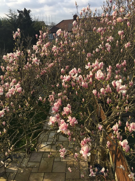 Frugaleers Marching on!