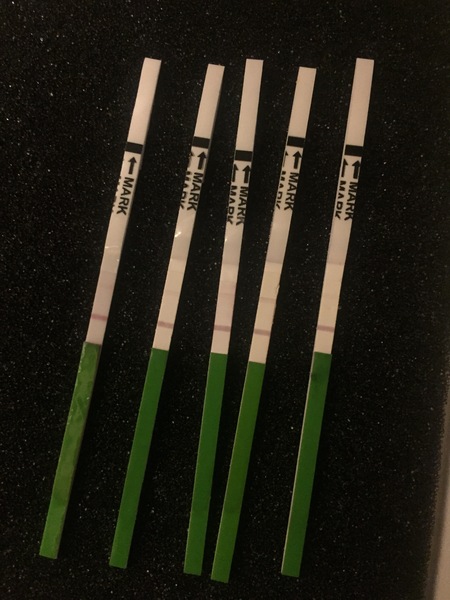 Thread 26. TTC #1 - Calm as a hysterical cucumber