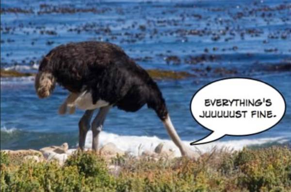 Westminster: Brexit is the hard right's weapon of mass distraction