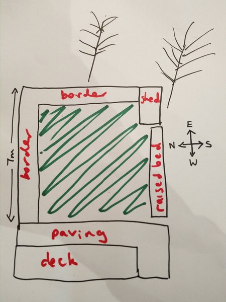 Recommend me a tree for a small garden!