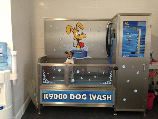 Dog self service washes- opinions please!!