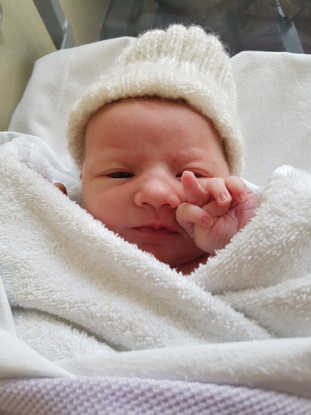 Due in March 2017 - thread #6