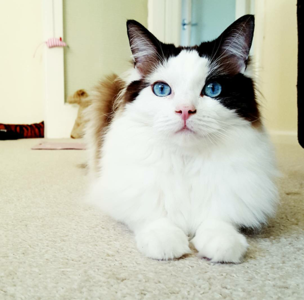 Gorgeous eyes.