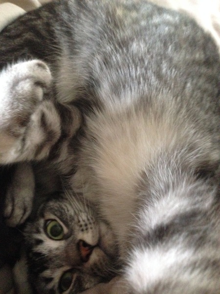Gorgeous eyes.