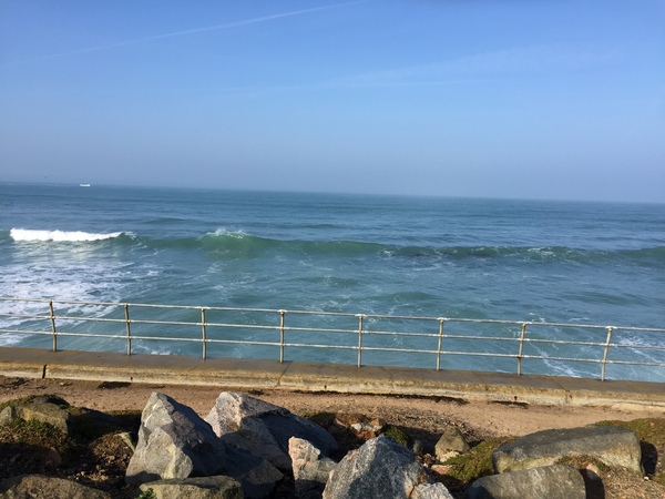 The Mighty Frugaleers Meticulously March into March