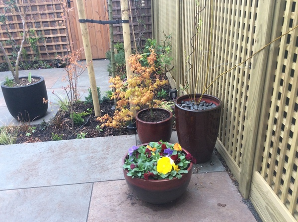 The Landscapers are here, it is better than the arrival of Santa