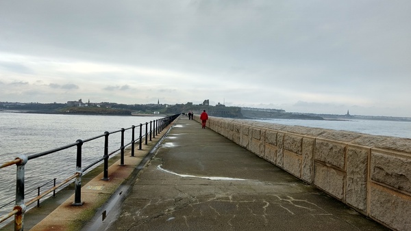 Pokemon Go #7. Is it Take A Chansey On Me or Hitmonlee With Your Rhythm Stick? You decide.