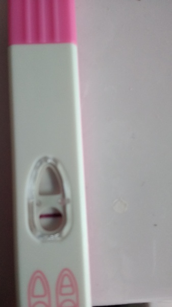 Any evap line experts?