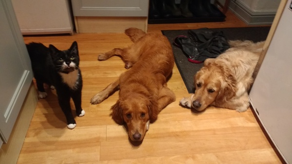 May 2017 #9 3rd trimester!